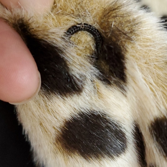 JONES NEW YORK leopard print coat - Picture 7 of 11